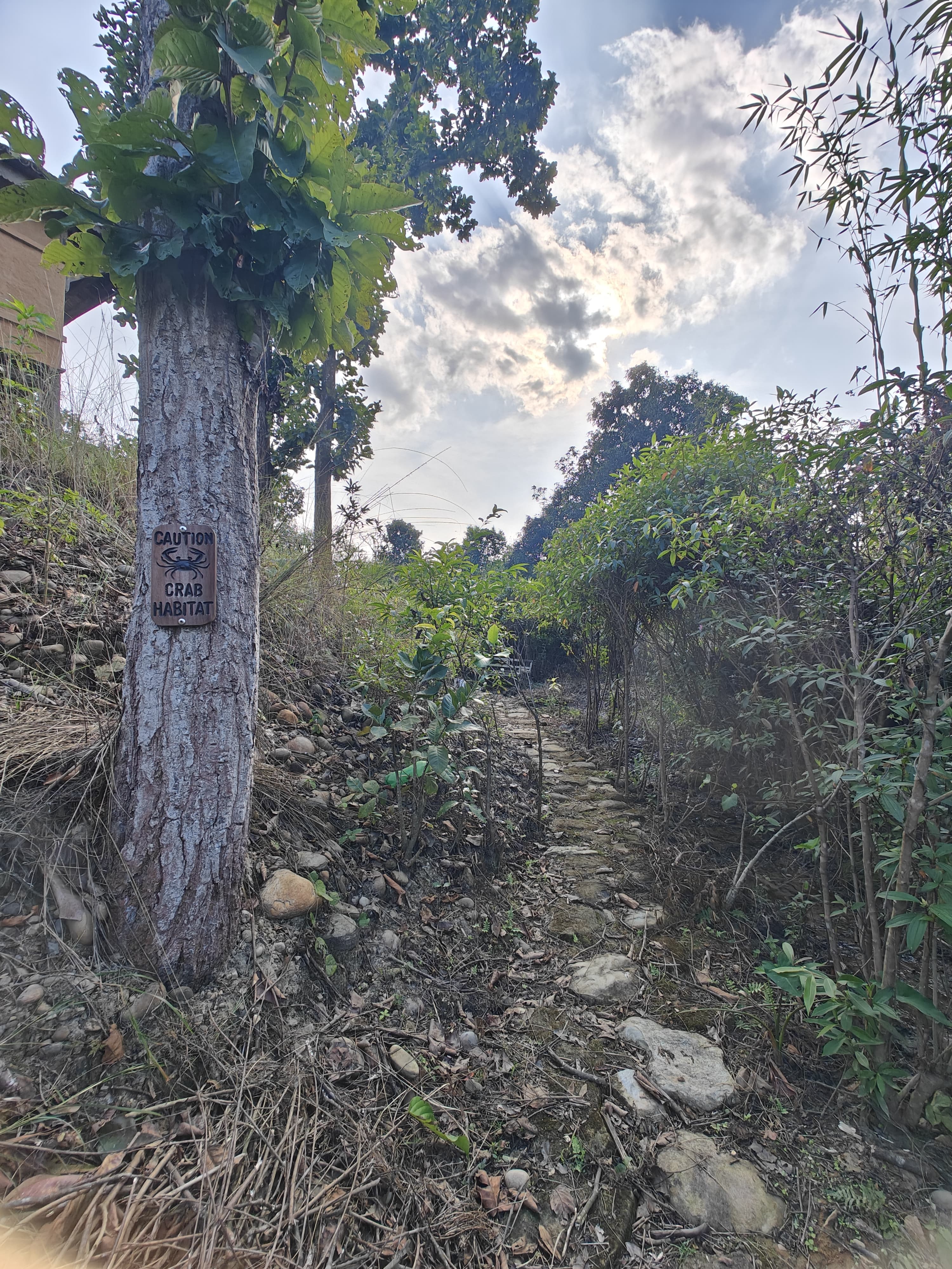 Book your stay at Himalchuli Nature Farmstay